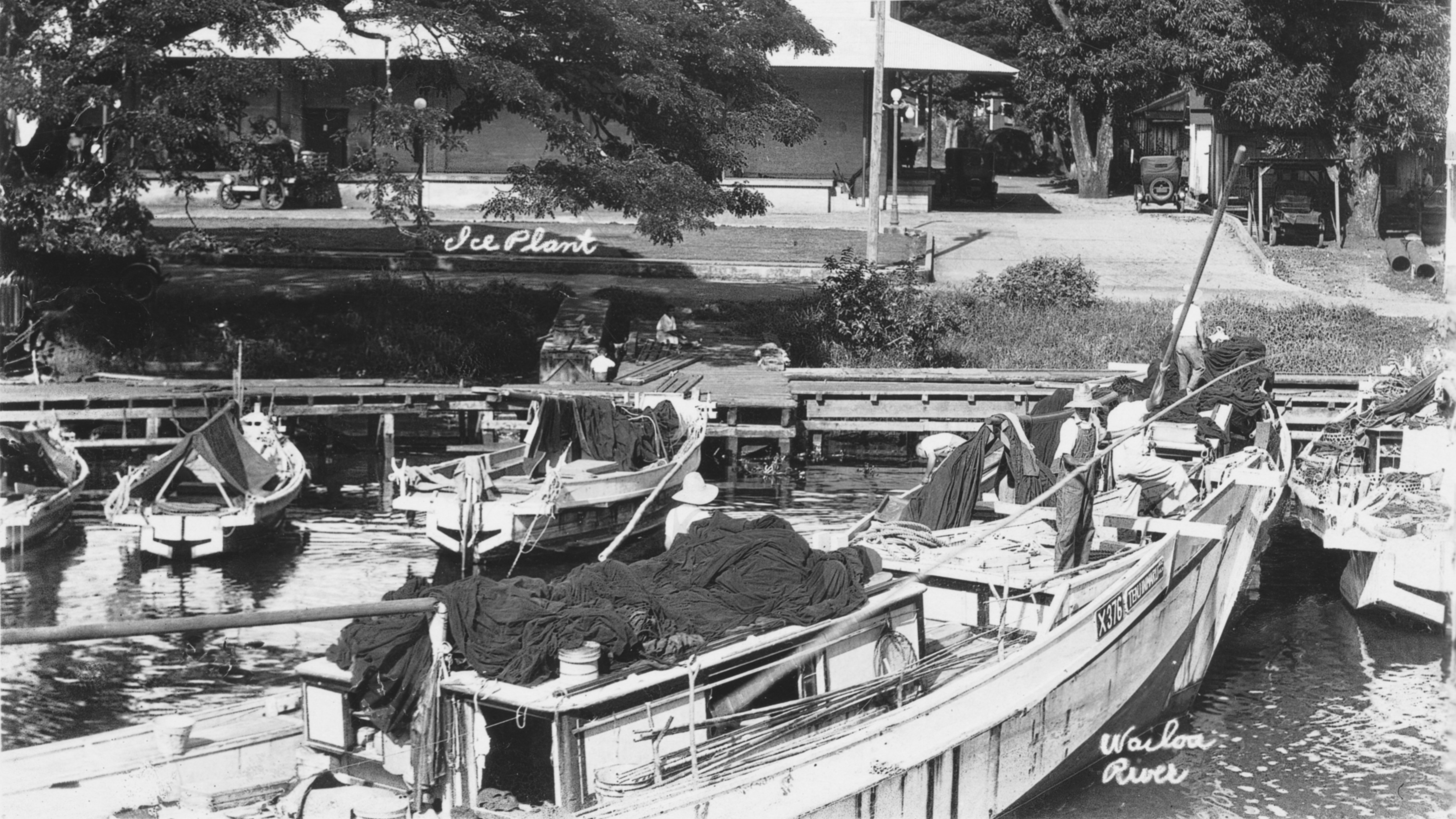 Shinmachi fishermen at the dock on the Wailoa River, ca. 1925